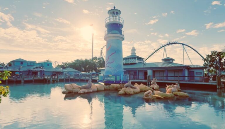 SeaWorld Orlando in One Day – The Ultimate 2026 Itinerary (Rides, Shows & Tips)