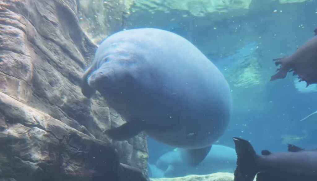 seaworld orlando in one day