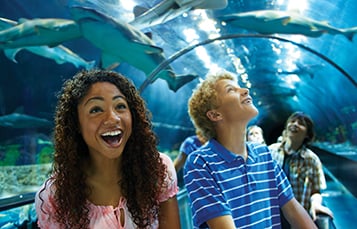 seaworld for toddlers