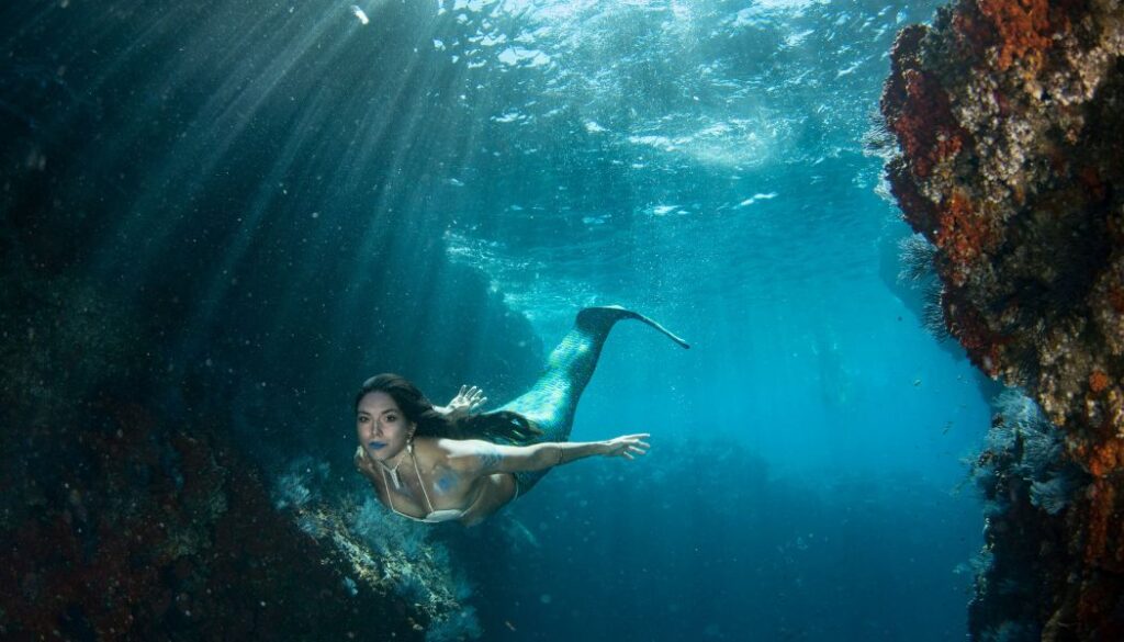 mermaids in florida