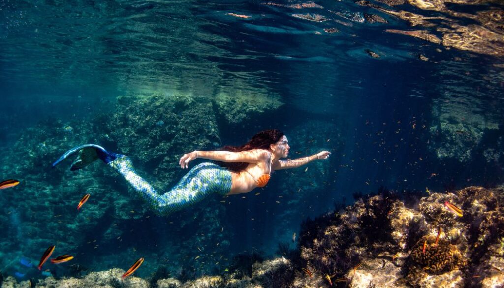 mermaids in florida