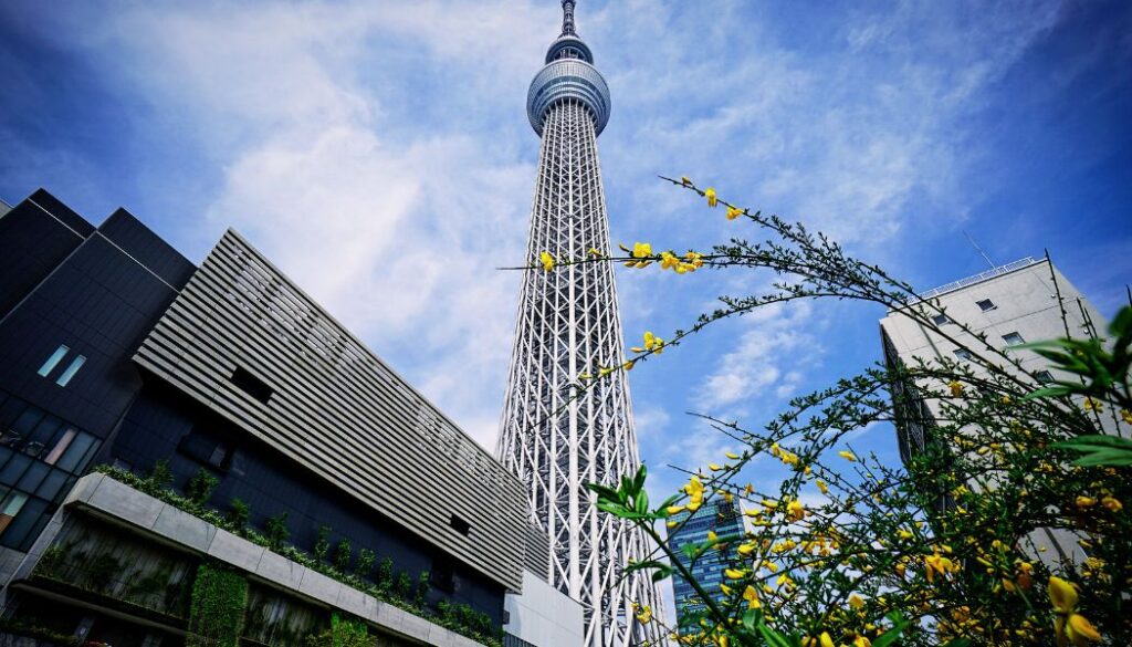 tokyo itinerary 5 days