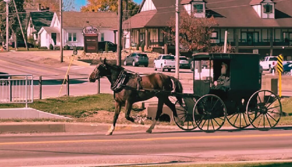 amish town in florida