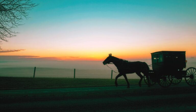 Amish Town in Florida: Your Complete Guide to Visiting Pinecraft