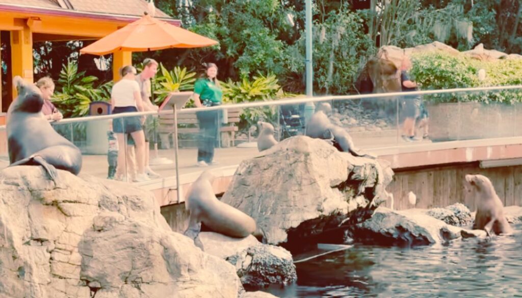 seaworld orlando in one day